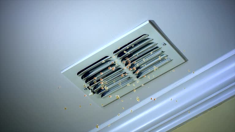 Best Air Duct Mold Removal  in Akron, PA